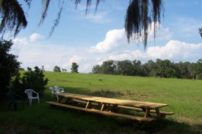 Our picinic area at the future site of our church building in Lecanto, Citrus County, FL